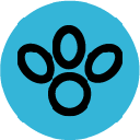 petitek-landing.pages.dev favicon